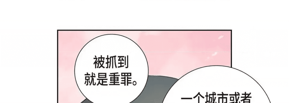 第221页